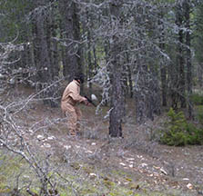 Paintball en el Alto Tajo y Cuenca