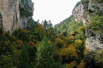 Parque Natural del Alto Tajo